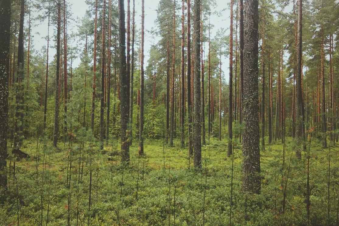 Sit vel eligendi sequi et aspernatur non